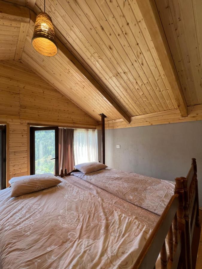 Mitarbi Silence - Cozy Holiday Cottages In Mountains بورجومي المظهر الخارجي الصورة