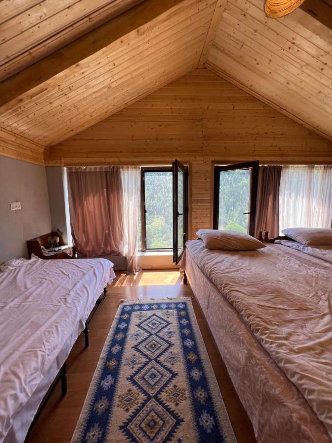 Mitarbi Silence - Cozy Holiday Cottages In Mountains بورجومي المظهر الخارجي الصورة