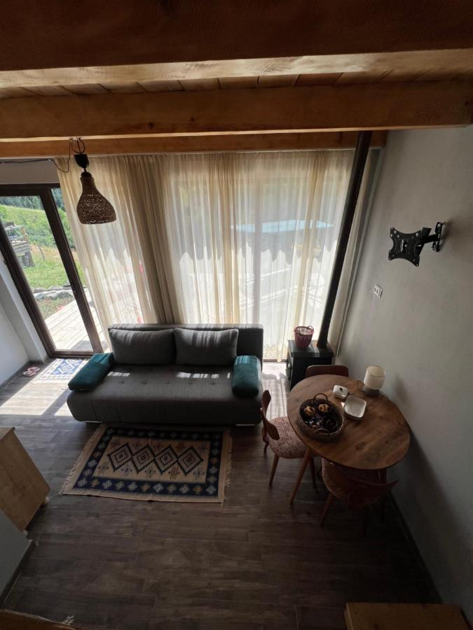 Mitarbi Silence - Cozy Holiday Cottages In Mountains بورجومي المظهر الخارجي الصورة
