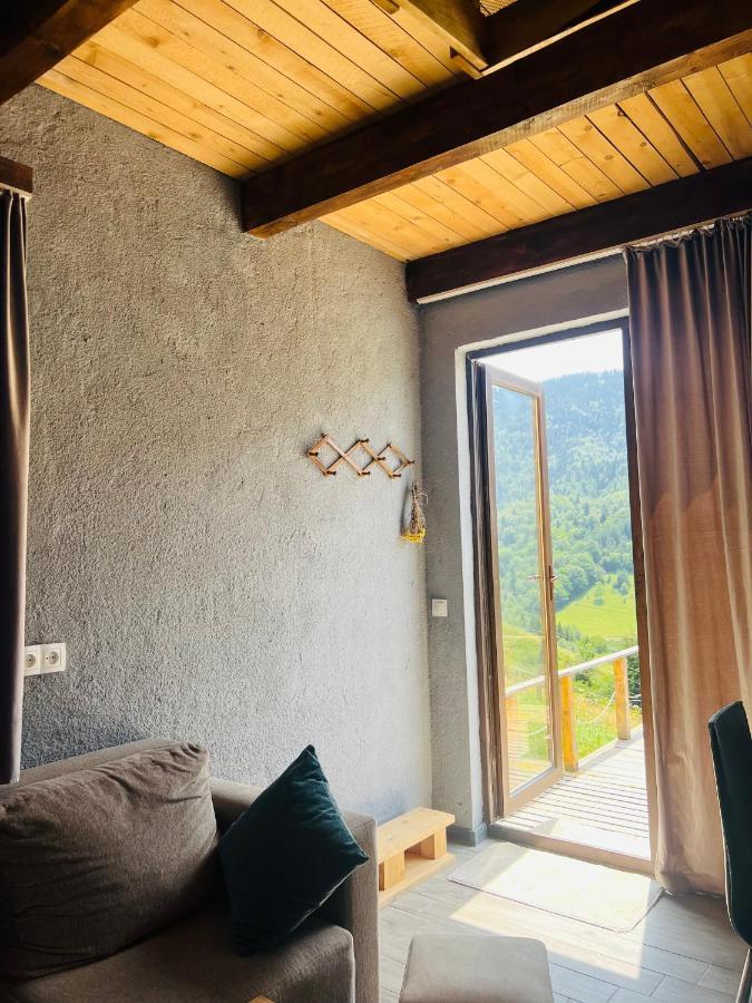 Mitarbi Silence - Cozy Holiday Cottages In Mountains بورجومي المظهر الخارجي الصورة