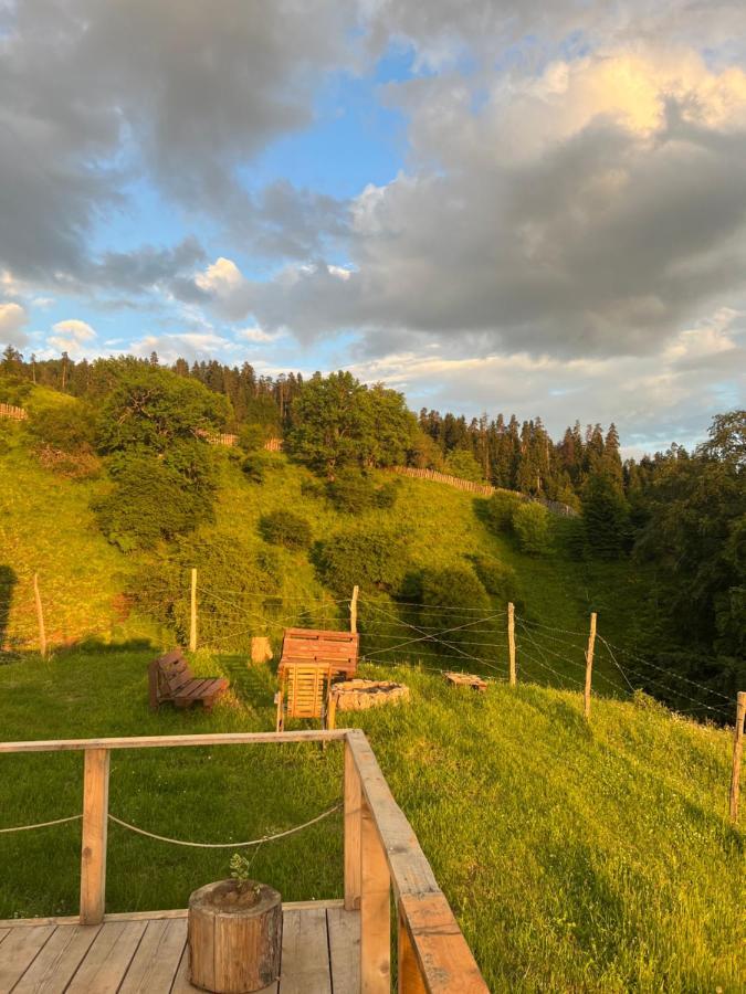 Mitarbi Silence - Cozy Holiday Cottages In Mountains بورجومي المظهر الخارجي الصورة
